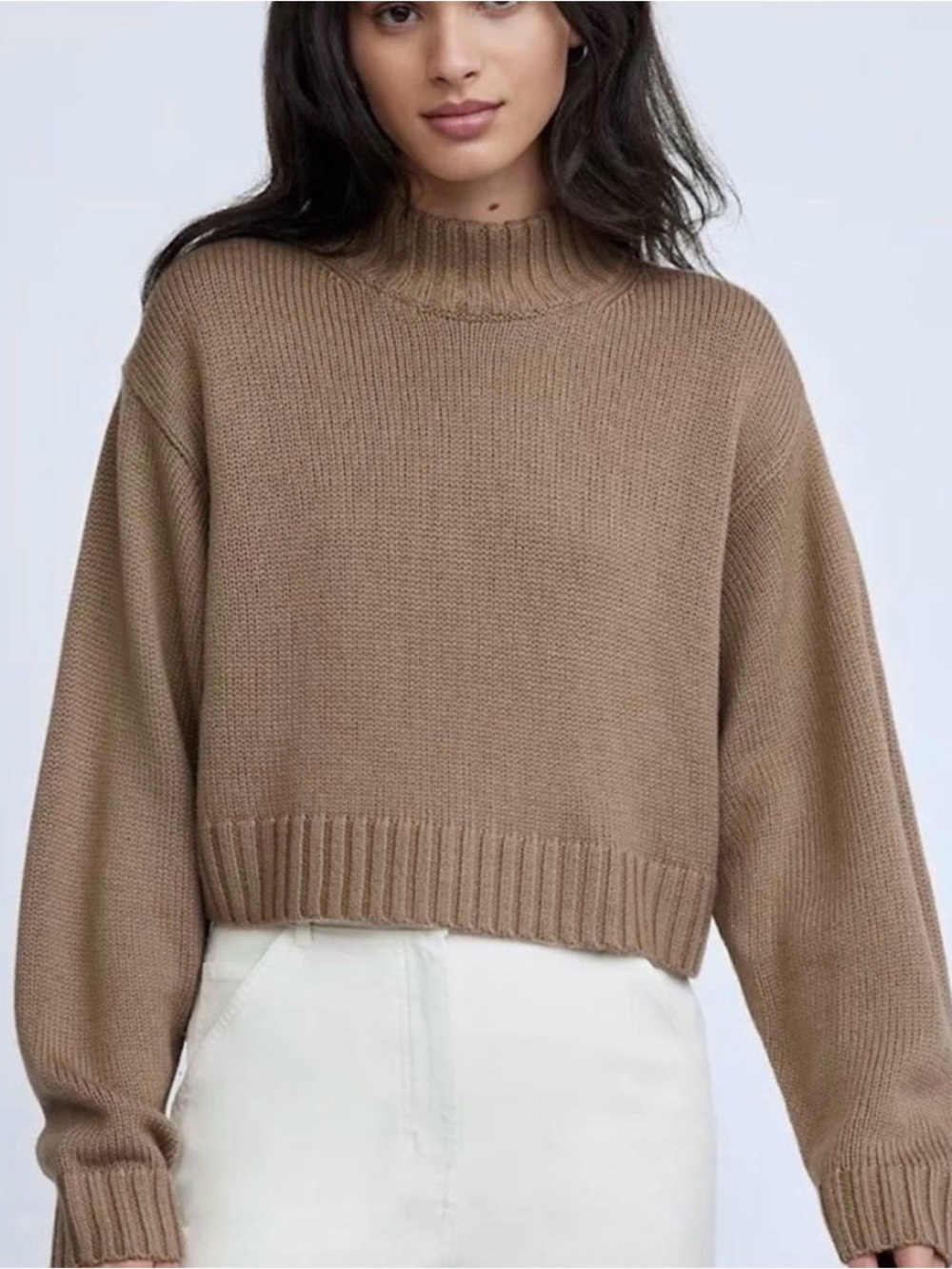 Wilfred Free Harper Sweater Size XS Aritzia #65627